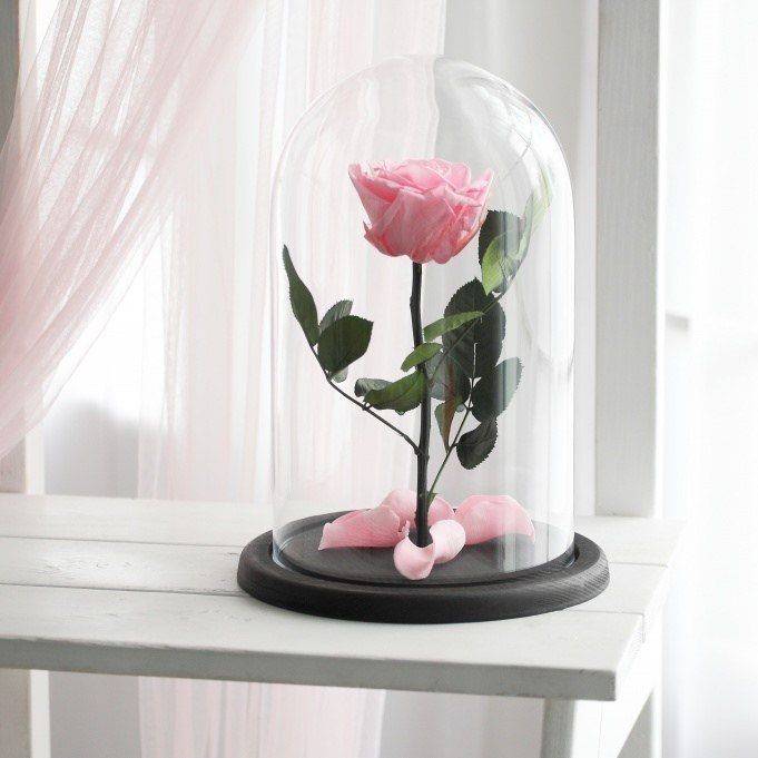 стабилизированная роза в домашних условиях