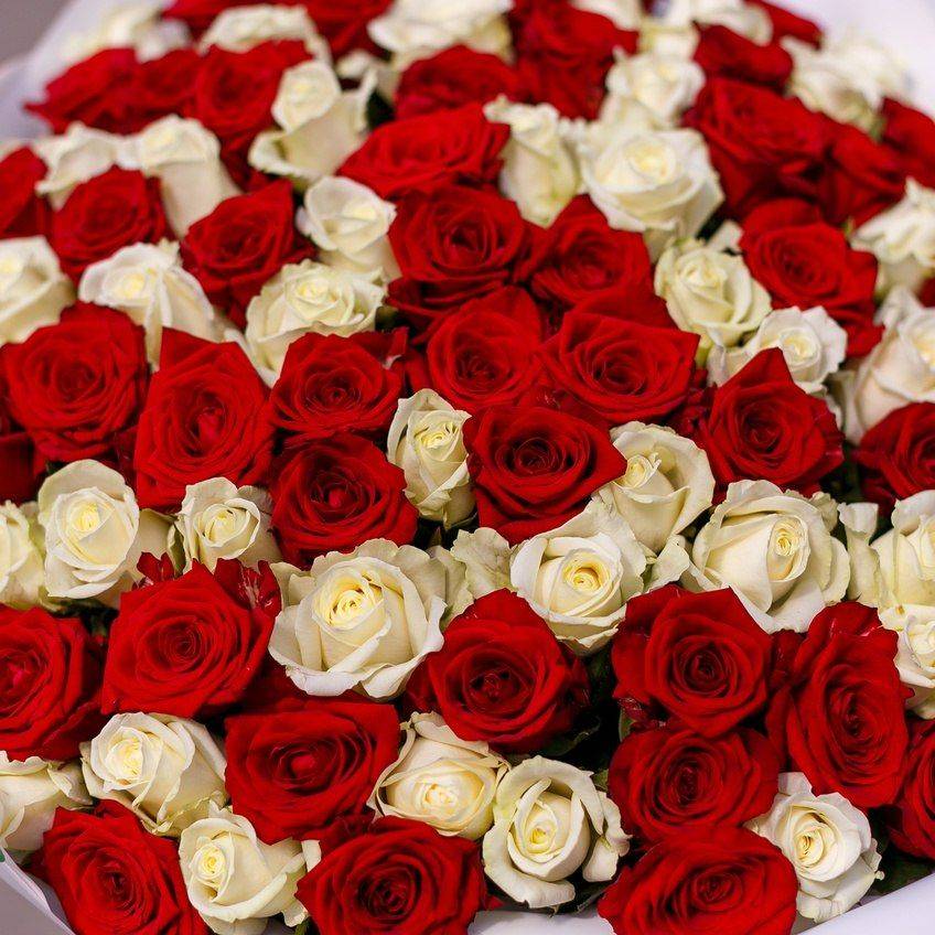красные и белые розы, букет