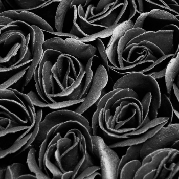 Кому и по какому поводу дарят черные розы