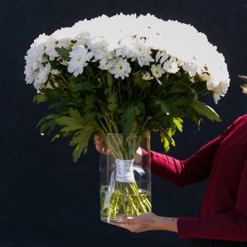 Как сохранить букет свежим и продлить жизнь цветам – советы опытных флористов