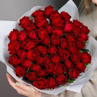 51 красная роза 50 см (Кения) 