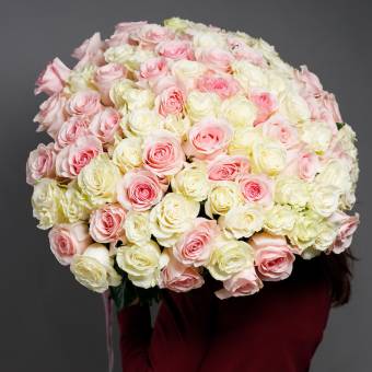 Букет из 101 белой и розовой розы 50 см (Эквадор)