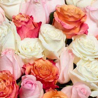 Купить цветы поштучно спб заказать голландские розы