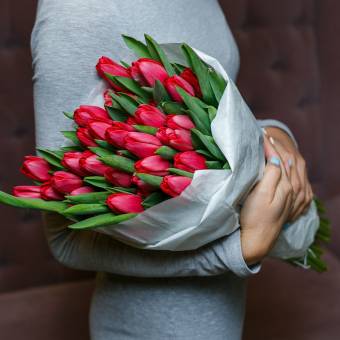 Тюльпаны оптом от 50 шт красные (Голландия) 