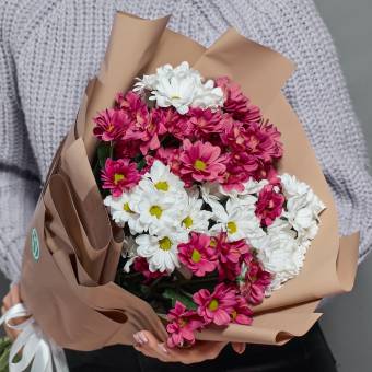 Букет из 9 белых и розовых кустовых хризантем в корейской упаковке