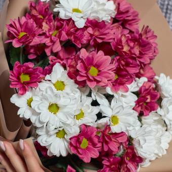 Букет из 9 белых и розовых кустовых хризантем в корейской упаковке