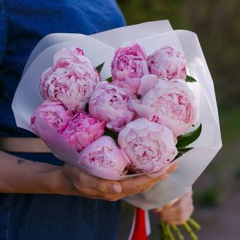 Букет из 9 розовых пионов (Голландия)