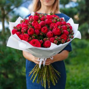 Букет из 51 пионовидной кустовой розы Ред Пиано 50 см