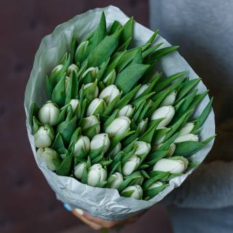 Тюльпаны оптом от 50 шт белые
