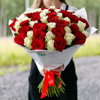 51 красная и белая роза 50 см (Кения)