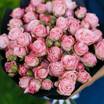 Букет из 15 пионовидных кустовых роз Мадам Бомбастик 50 см