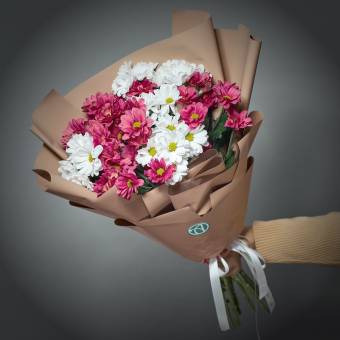 9 розовых и белых кустовых хризантем Бакарди в корейской упаковке