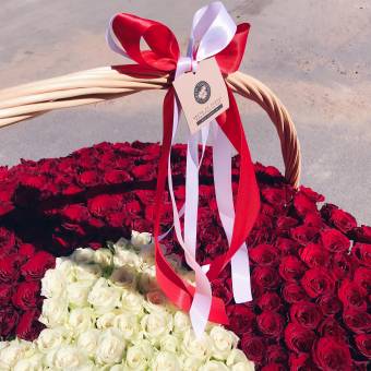 Корзина из 501 красной и белой розы (Кения)