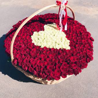 Корзина из 501 красной и белой розы (Кения)