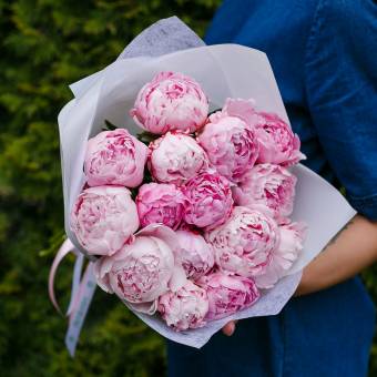 Букет из 15 розовых пионов (Голландия)