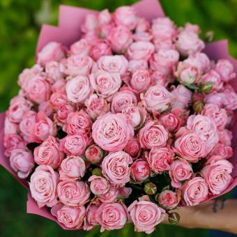 Букет из 25 пионовидных кустовых роз Мадам Бомбастик 50 см