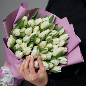 Букет из 51 белого тюльпана (Голландия) в корейской упаковке