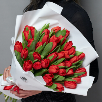 Букет из 51 красного тюльпана (Голландия) в корейской упаковке