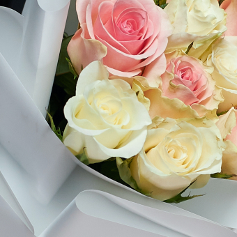 Букет из 15 розовых и белых роз Кения (35 см) в корейской упаковке