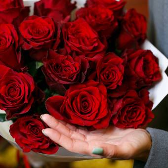 Роза красная 50 см (Эквадор) поштучно
