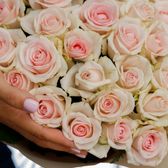 Роза розовая 40 см (Россия) поштучно 
