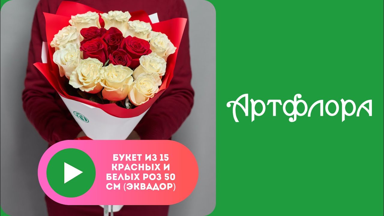 Embedded thumbnail for Букет из 15 красных и белых роз 50 см (Эквадор) в корейской упаковке