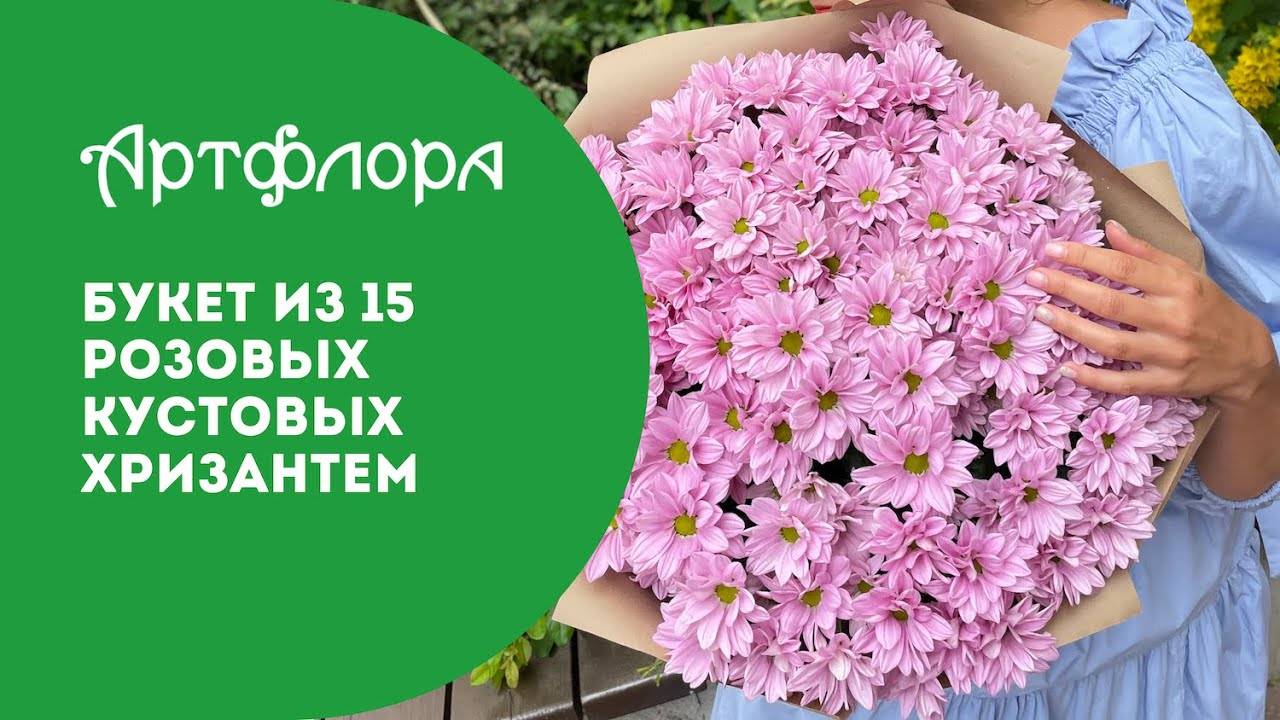 Embedded thumbnail for Букет из 15 розовых кустовых хризантем
