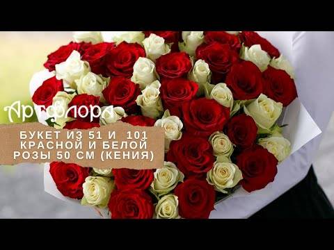 Embedded thumbnail for 51 красная и белая роза 50 см (Кения)