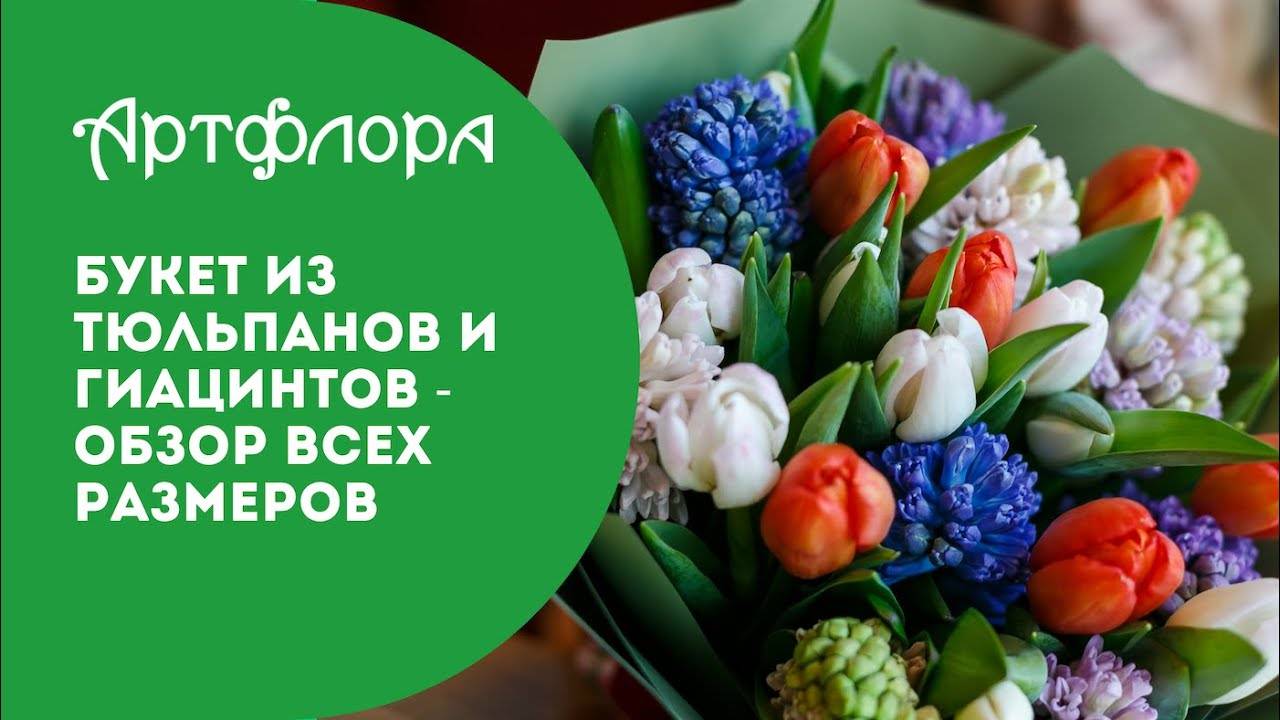 Embedded thumbnail for 15 тюльпанов микс с гиацинтами в зеленой упаковке