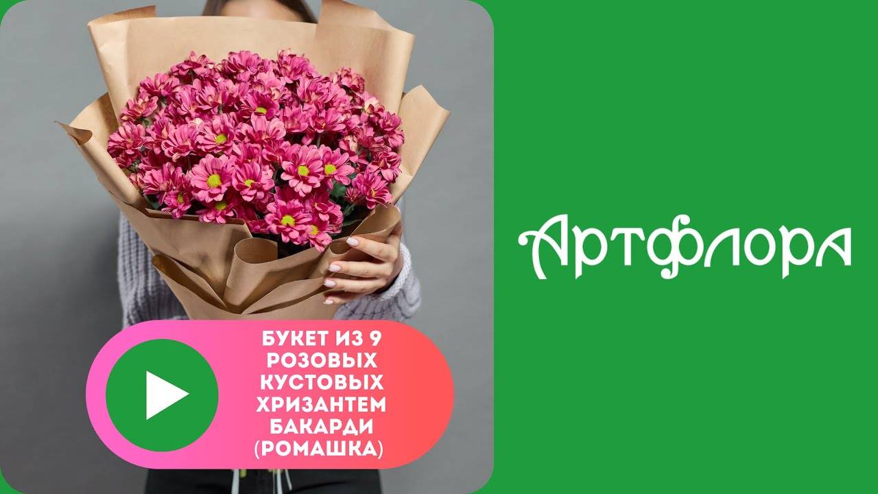 Embedded thumbnail for Букет из 9 розовых кустовых хризантем Бакарди (ромашка) в корейской упаковке